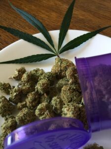 cannabis-640x480-41659482.jpeg