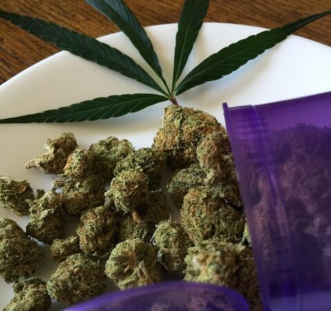 cannabis-640x480-41659482.jpeg