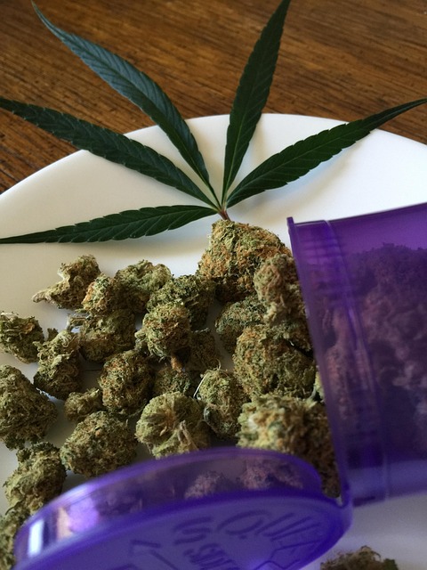 cannabis-640x480-41659482.jpeg