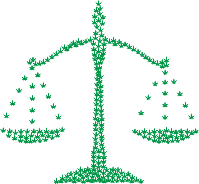 cannabis