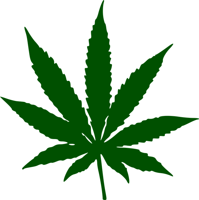 cannabis