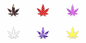 cannabis-640x480-29783193.png