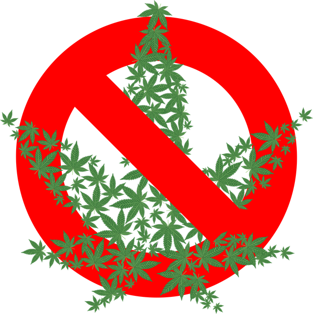 cannabis