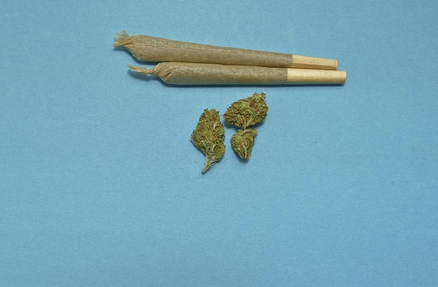cannabis