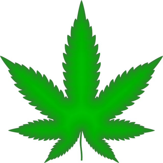 cannabis