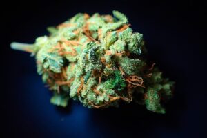 cannabis-640x480-86112725.jpeg