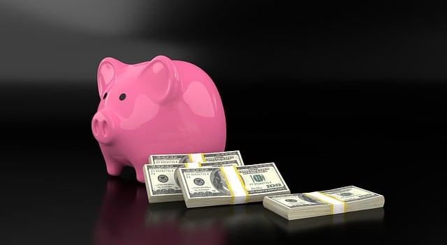 loans