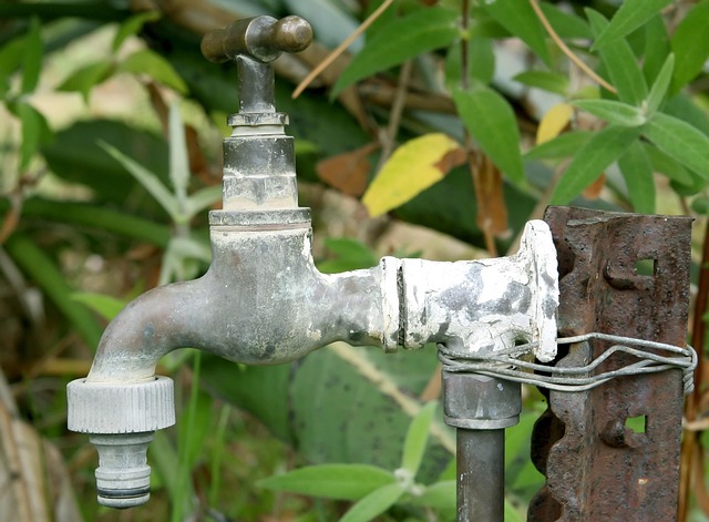 Affordable Plumber Arvada