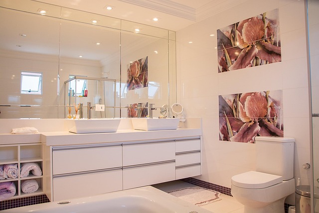 Bathroom Plumbing Arvada