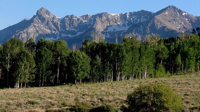 Breathalyzer Defense Lawyer Colorado