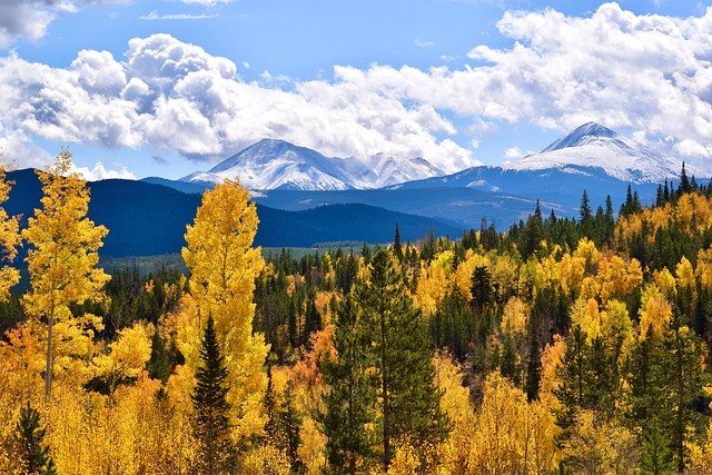 Breathalyzer Defense Lawyer Colorado