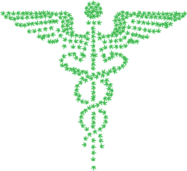 cannabis