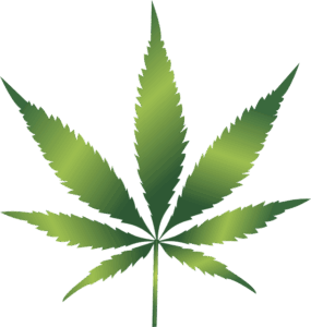cannabis-640x480-48084497.png