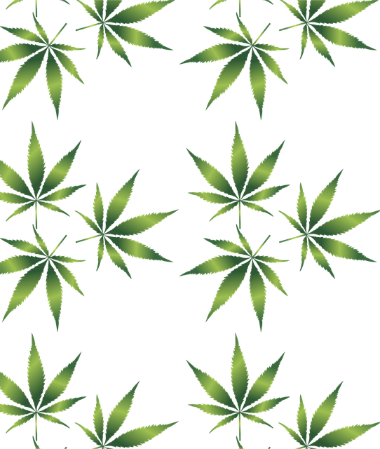 cannabis-640x480-59349679.png