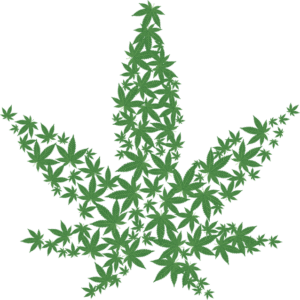 cannabis-640x480-70687238.png