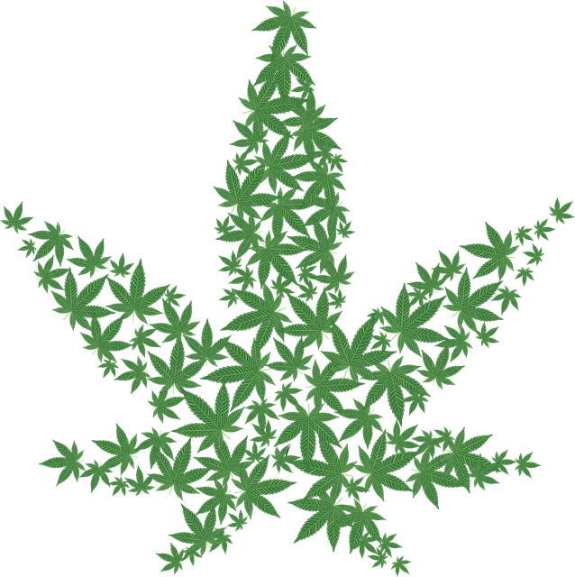 cannabis-640x480-70687238.png