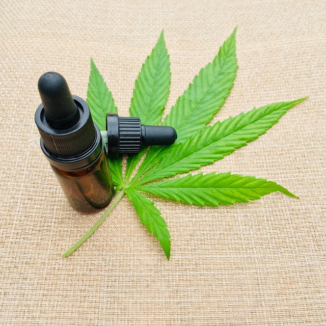 cannabis
