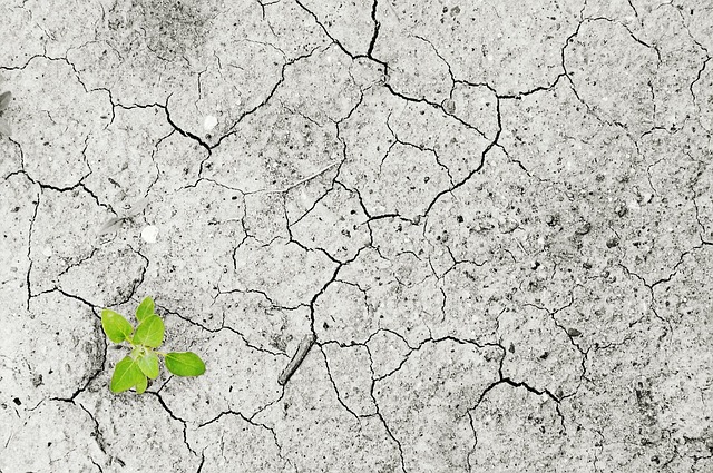 Commercial Water Damage Denver