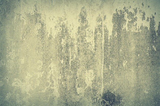 Concrete Flooring Denver