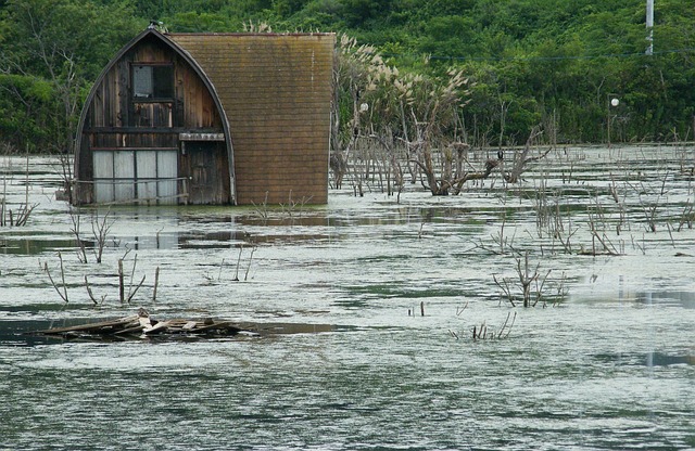 Denver Flood Cleanup