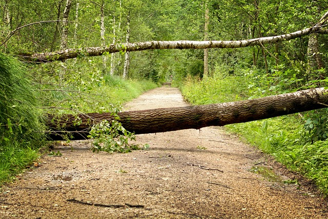 Denver Flood Damage Restoration