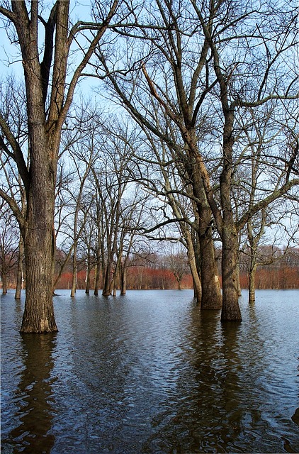 Denver Flood Damage Restoration