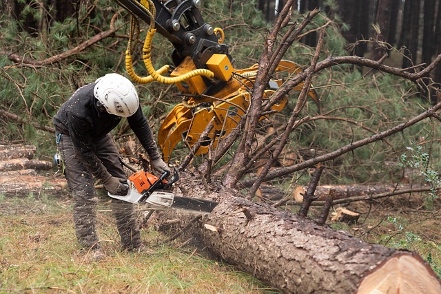 Denver Restoration Experts