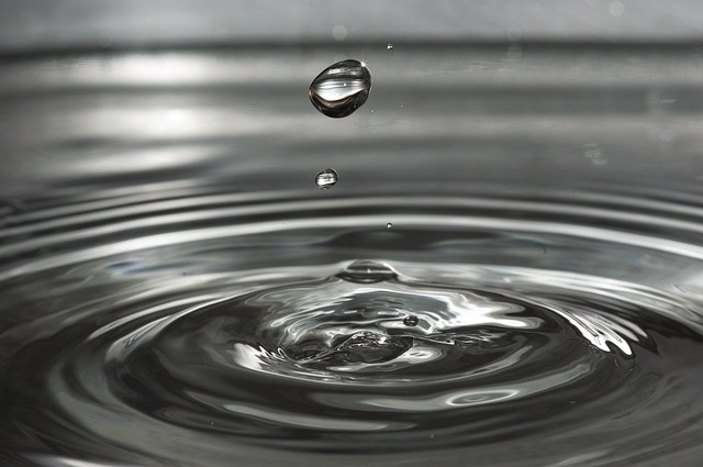 Denver Water Restoration
