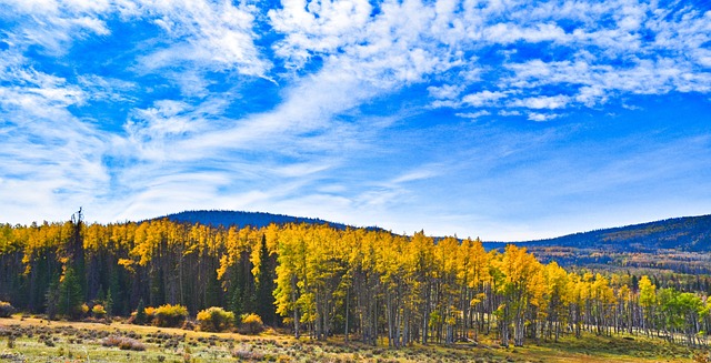 dui-license-suspension-lawyer-colorado-640x480-62282875.jpeg