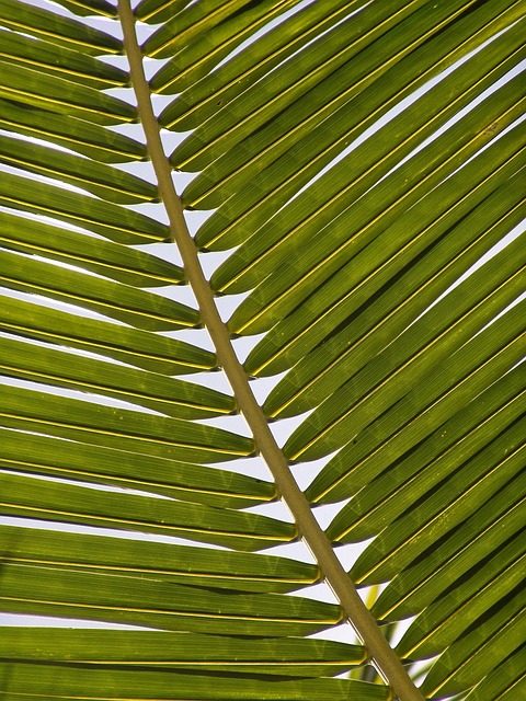 Eco-Friendly Flooring Denver