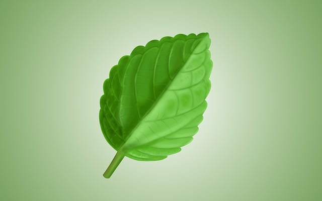 Eco-Friendly Flooring Denver