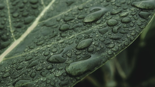 Eco-Friendly Flooring Denver