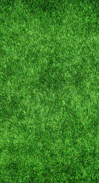 Eco-Friendly Flooring Denver
