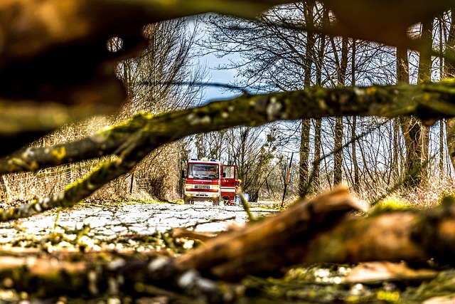 Fire Damage Restoration Company Denver