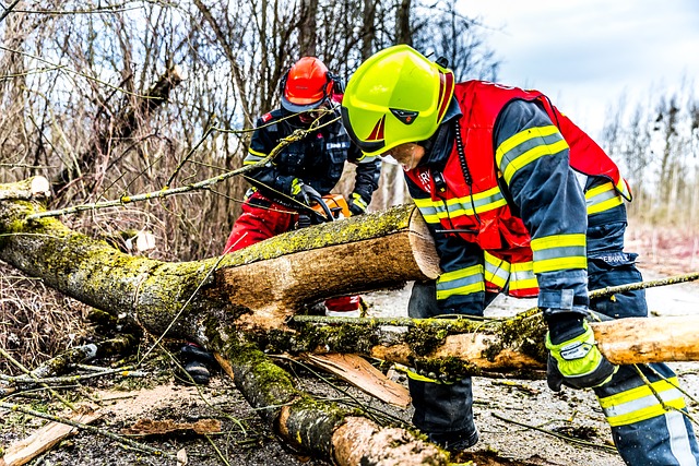 fire-restoration-services-denver-640x480-1556150.jpeg