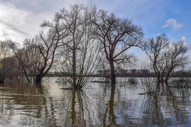 Flood Damage Repair Denver: Restoring Your Home Step-by-Step