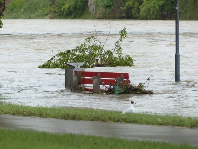 Flood Restoration Denver