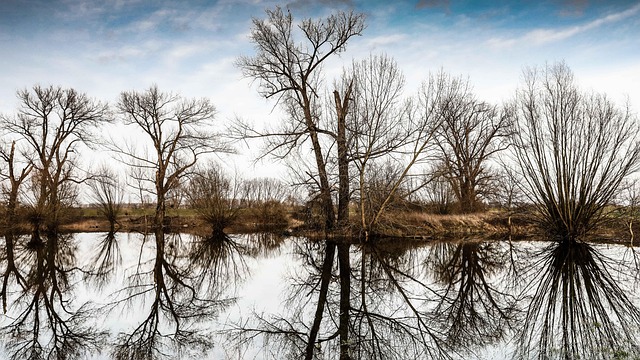 Flood Restoration Denver