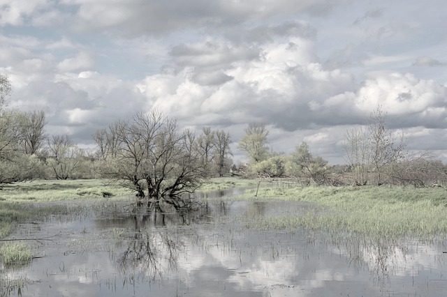 Flood Restoration Services Denver