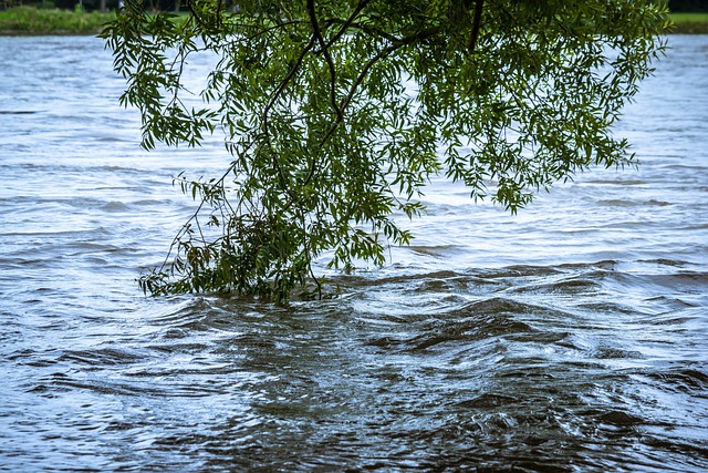 Flood Restoration Services Denver