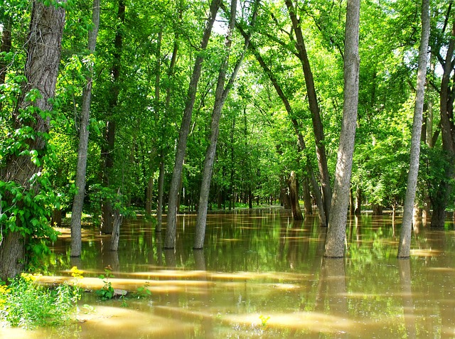 flooded-basement-restoration-denver-640x480-53126151.jpeg
