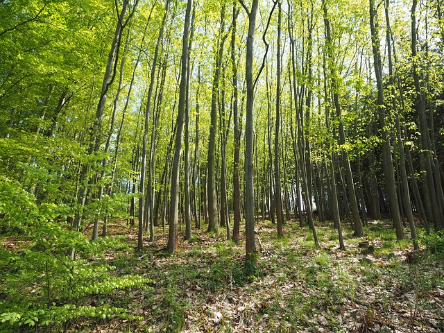 Flooded Basement Restoration Denver