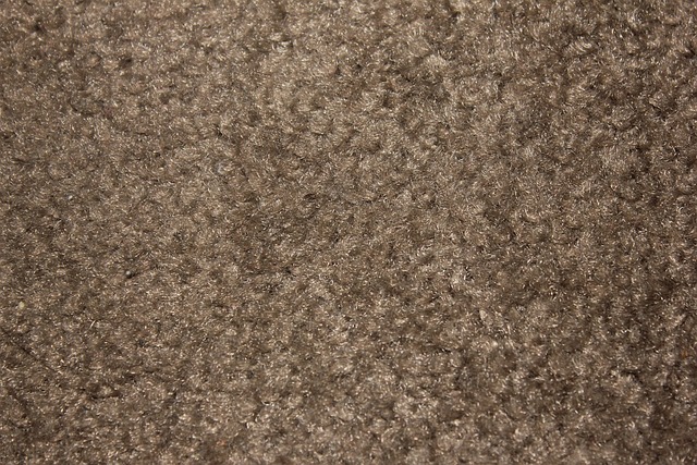 Flooring Denver