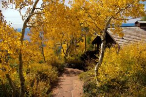 grand-theft-attorney-colorado-640x480-90620271.jpeg