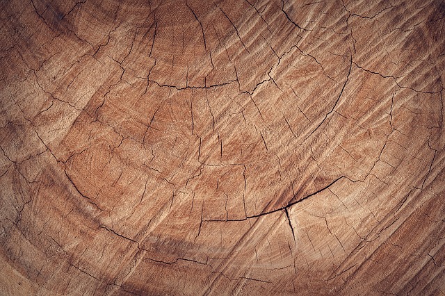 hardwood-floor-cleaning-denver-640x480-66021733.jpeg