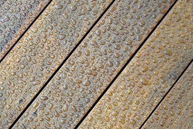 Hardwood Floor Cleaning Denver
