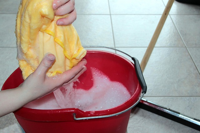 Hardwood Floor Cleaning Denver