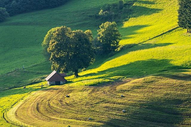 houses-640x480-42535423.jpeg