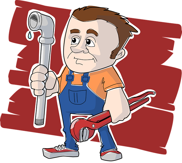 Licensed Plumber Arvada
