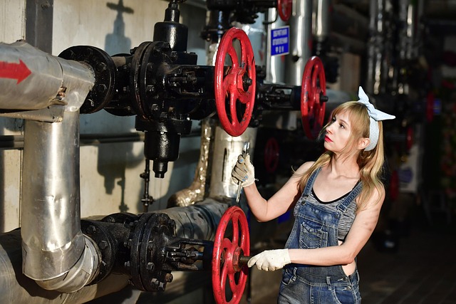 Licensed Plumber Arvada